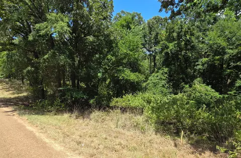 0 Hickory St #LOT 90, Mabank, TX 75156