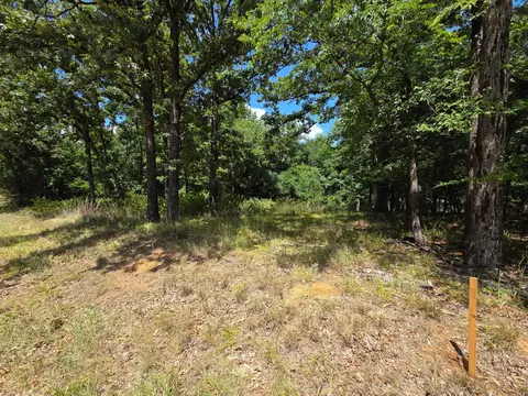 0 Hickory St #LOT 91, Mabank, TX 75156