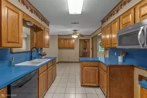 Other - 233 Allen Dr, Minden, LA 71055 photo 1 of 4