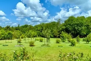 Other - 919 Harrell Rd, Howe, TX 75459 photo 18 of 19