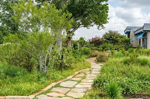 Exterior - 919 Harrell Rd, Howe, TX 75459 photo 5 of 6