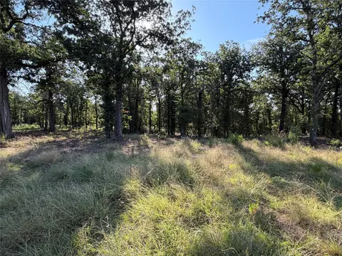 tbd Fm 56, Morgan, TX 76671