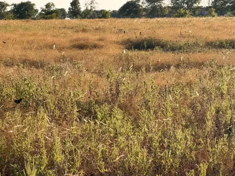 tbd N Hickory Rd, Krum, TX 76249 photo 3