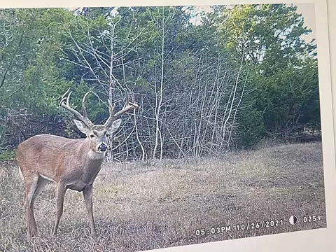 0000 Cr 2374, Detroit, TX 75436