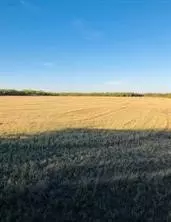 tbd Farm Market 142, Lueders, TX 79533