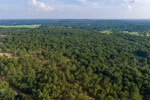 3350 Fm 1256, Eustace, TX 75124 photo 20