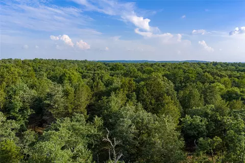 3350 Fm 1256, Eustace, TX 75124 photo 33