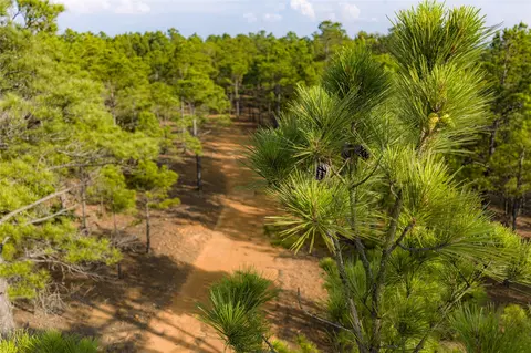 3350 Fm 1256, Eustace, TX 75124 photo 9