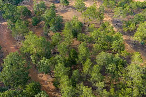 3350 Fm 1256, Eustace, TX 75124 photo 27