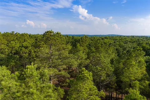 3350 Fm 1256, Eustace, TX 75124 photo 8