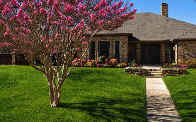 1511 Green Tree Ln, Duncanville, TX 75137