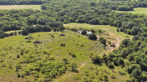 0 Thomas, Dublin, TX 76446 photo 13