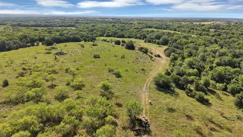 0 Thomas, Dublin, TX 76446 photo 7