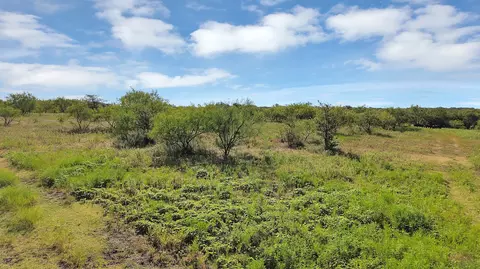 0 Thomas, Dublin, TX 76446 photo 9
