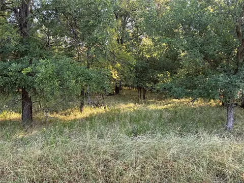 576 Willow Dr, May, TX 76857 photo 2