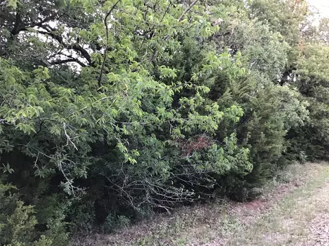 44021 Fringewood Dr, Whitney, TX 76692