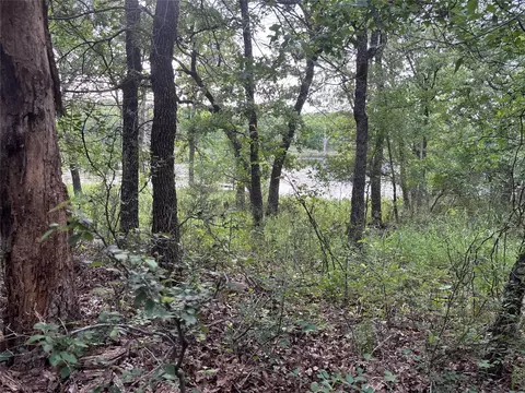 153 Post Oak Cv, Sunset, TX 76270 photo 3