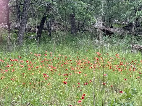153 Post Oak Cv, Sunset, TX 76270 photo 4