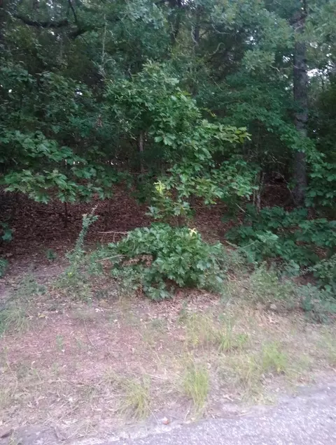 0000 Wildwood, Murchison, TX 75778