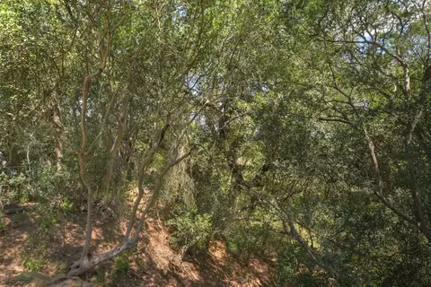 6887 Von Ormy Rd, Von Ormy, TX 78073 photo 40