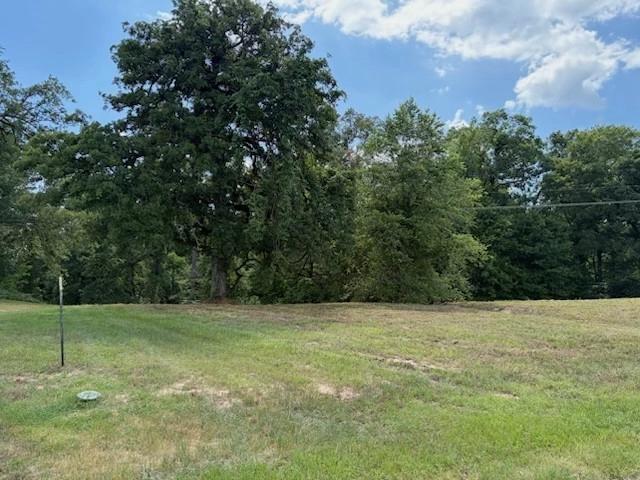 tbd Cypress Creek Dr, Diana, TX 75640