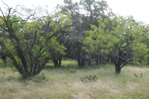 0000 Cr 190, Comanche, TX 76442 photo 14
