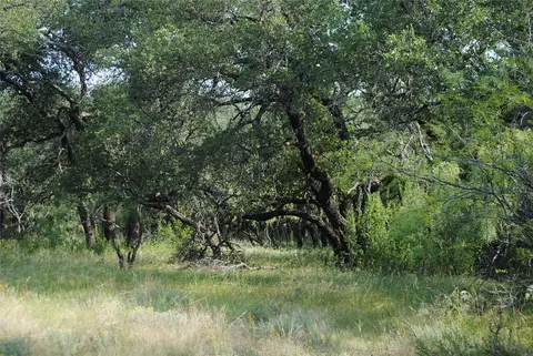 0000 Cr 190, Comanche, TX 76442 photo 2