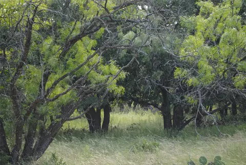 0000 Cr 190, Comanche, TX 76442 photo 15