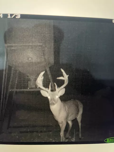 0000 Cr 190, Comanche, TX 76442 photo 19