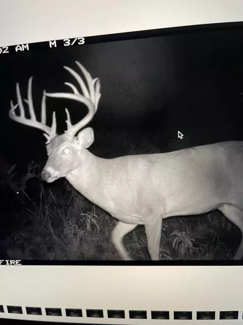 0000 Cr 190, Comanche, TX 76442 photo 26