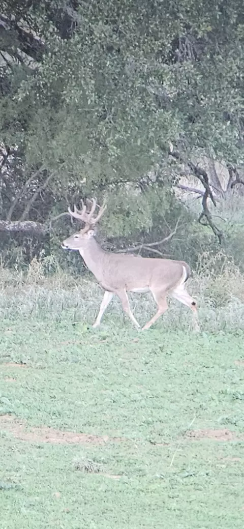 0000 Cr 190, Comanche, TX 76442 photo 24