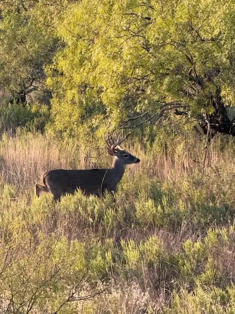 0000 Cr 190, Comanche, TX 76442 photo 21