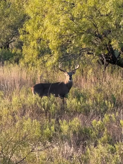 0000 Cr 190, Comanche, TX 76442 photo 20