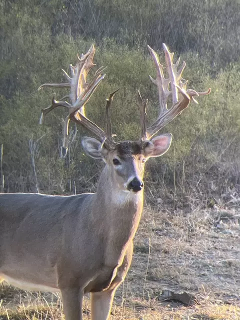 0000 Cr 190, Comanche, TX 76442 photo 18