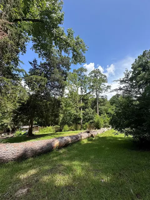 0 Horseshoe Loop, Doyline, LA 71023 photo 12