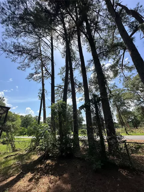 0 Horseshoe Loop, Doyline, LA 71023 photo 8