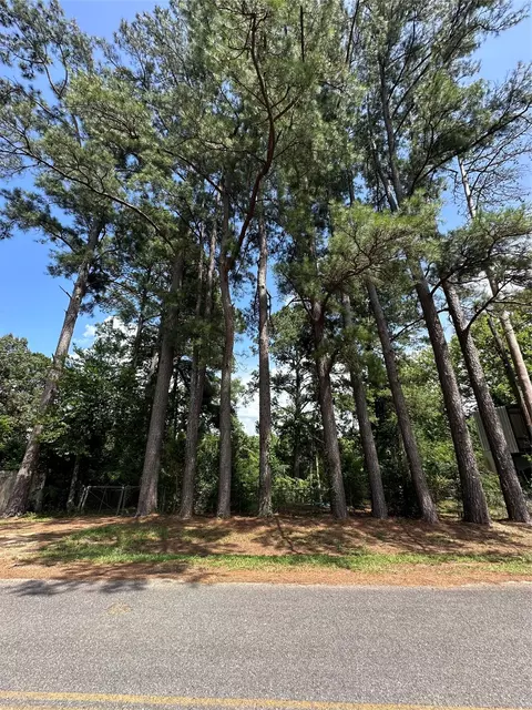 0 Horseshoe Loop, Doyline, LA 71023 photo 2