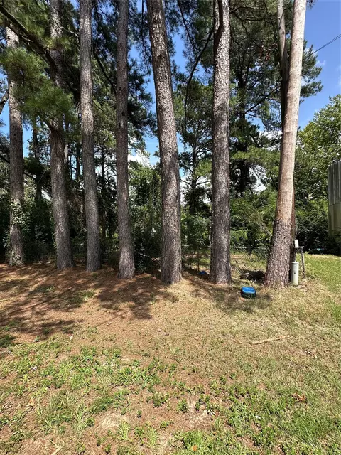0 Horseshoe Loop, Doyline, LA 71023 photo 4
