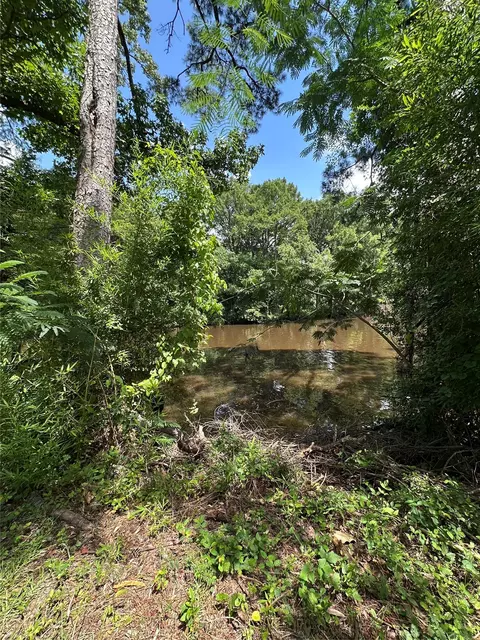 0 Horseshoe Loop, Doyline, LA 71023 photo 14