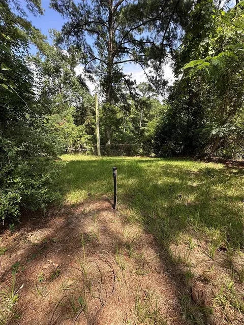 0 Horseshoe Loop, Doyline, LA 71023 photo 7