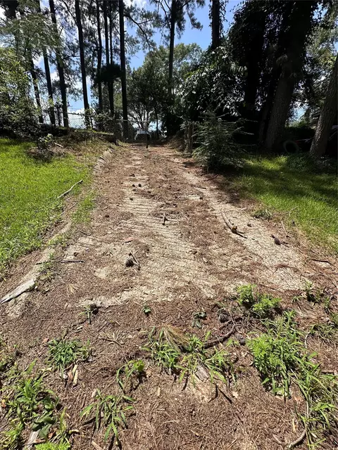 0 Horseshoe Loop, Doyline, LA 71023 photo 9