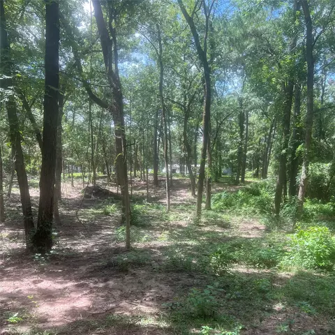 tbd Azalea Ln, Mount Vernon, TX 75457
