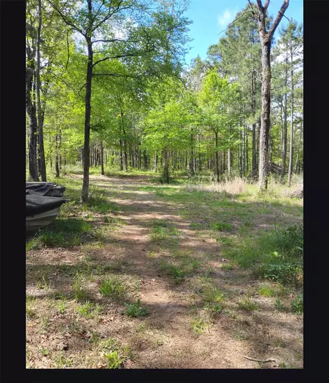 tbd State Hwy 19, Huntsville, TX 77320