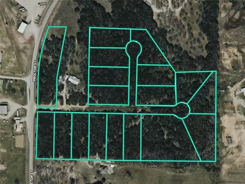 tbd Fm 1655 Trl, Alvord, TX 76225