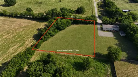 tbd Olive St, Lone Oak, TX 75453