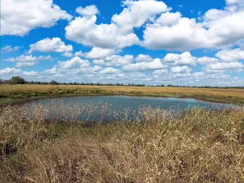 tbd Fm 2745, Kosse, TX 76653