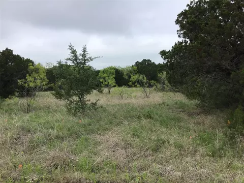44163 High Crest Dr, Whitney, TX 76692