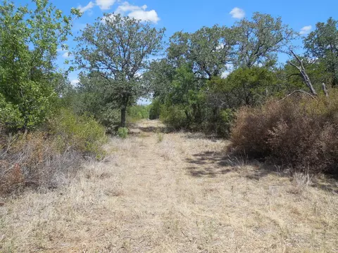 tbd 10 Acres Cr 136, Ranger, TX 76470
