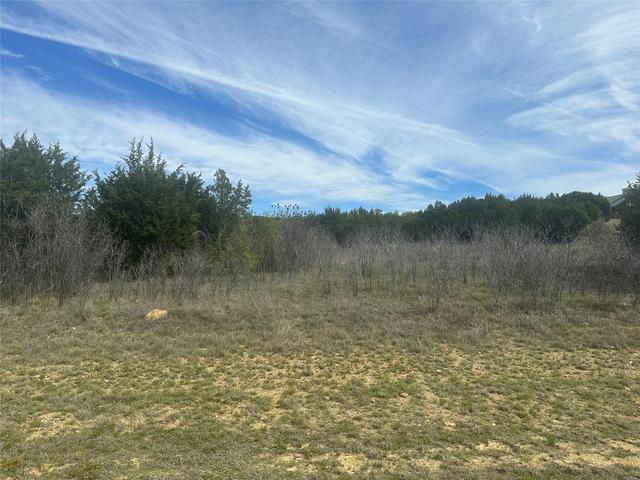 1241 Balcones Ln, Graford, TX 76449