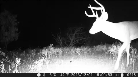 tbd Comanche Hills Dr, Comanche, TX 76442 photo 9